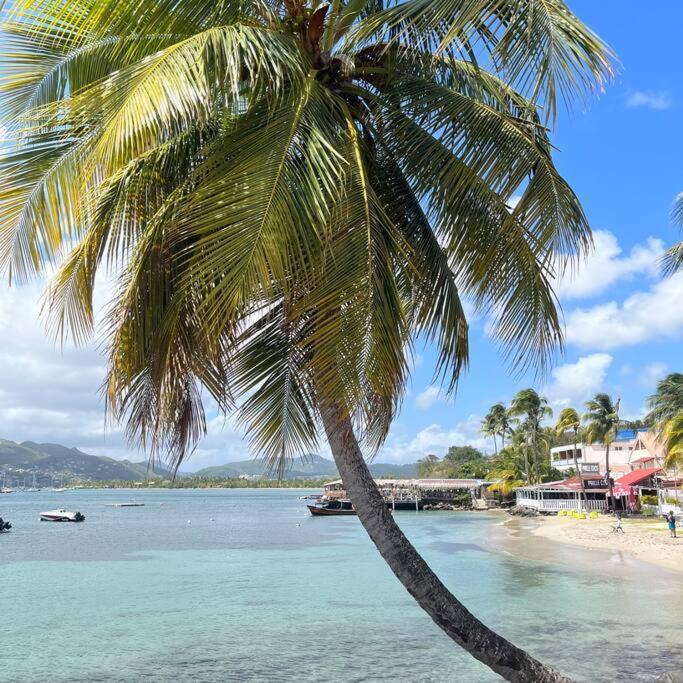Studio La «Kaz' A Coco» Anse Caritan Sainte-Anne Luaran gambar