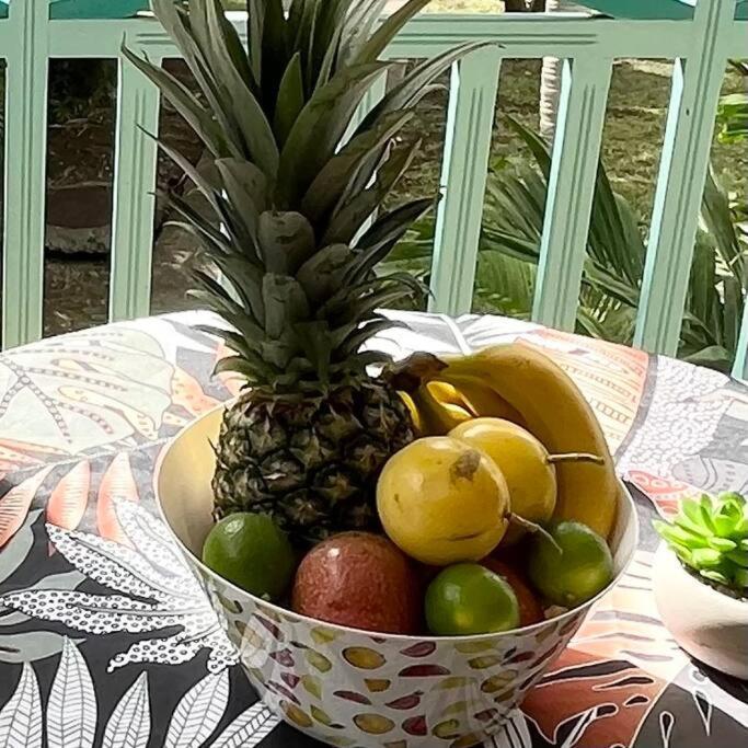 Studio La «Kaz' A Coco» Anse Caritan Sainte-Anne Luaran gambar